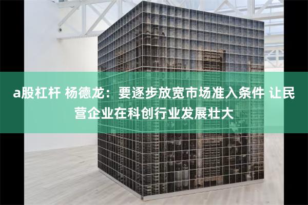 a股杠杆 杨德龙：要逐步放宽市场准入条件 让民营企业在科创行业发展壮大