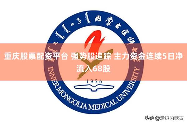 重庆股票配资平台 强势股追踪 主力资金连续5日净流入68股