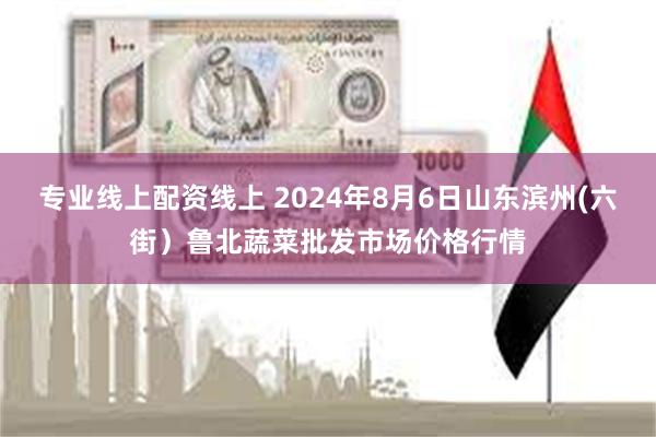 专业线上配资线上 2024年8月6日山东滨州(六街）鲁北蔬菜批发市场价格行情