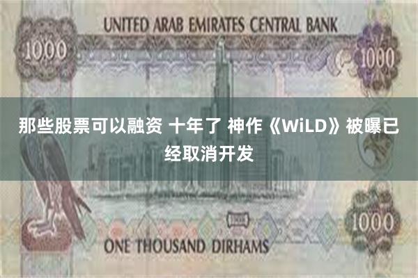 那些股票可以融资 十年了 神作《WiLD》被曝已经取消开发