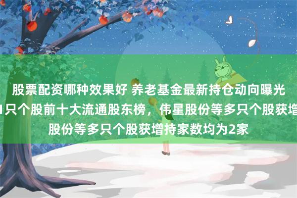 股票配资哪种效果好 养老基金最新持仓动向曝光：二季度新进61只个股前十大流通股东榜，伟星股份等多只个股获增持家数均为2家