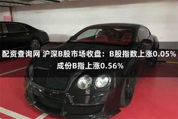 配资查询网 沪深B股市场收盘：B股指数上涨0.05% 成份B指上涨0.56%