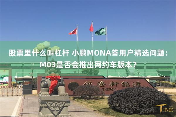 股票里什么叫杠杆 小鹏MONA答用户精选问题：M03是否会推出网约车版本？