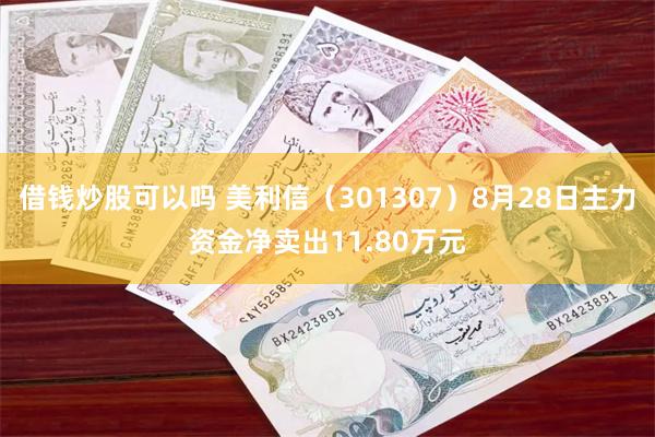 借钱炒股可以吗 美利信（301307）8月28日主力资金净卖出11.80万元