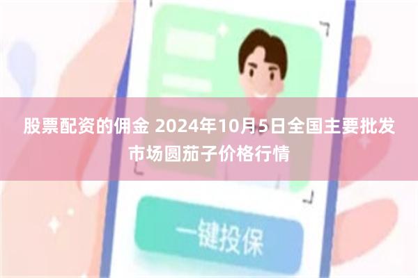 股票配资的佣金 2024年10月5日全国主要批发市场圆茄子价格行情