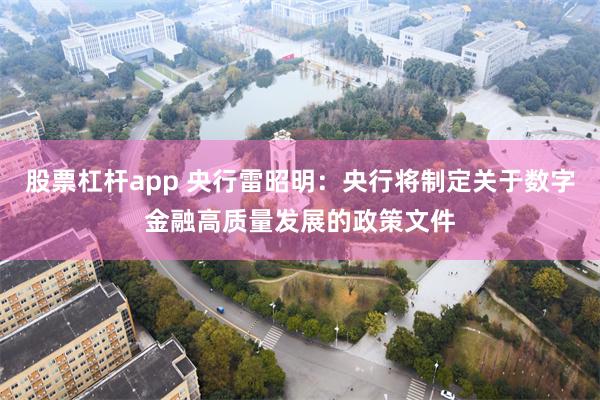 股票杠杆app 央行雷昭明：央行将制定关于数字金融高质量发展的政策文件