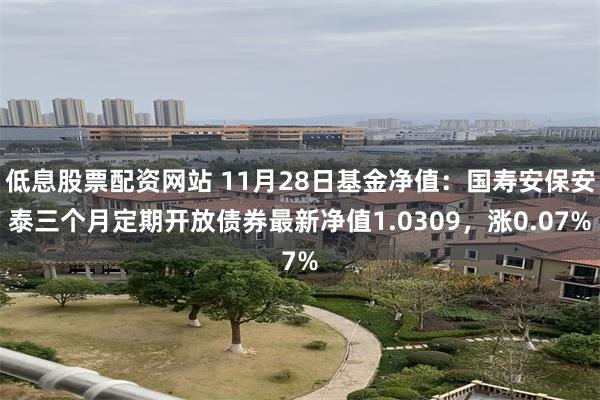 低息股票配资网站 11月28日基金净值：国寿安保安泰三个月定期开放债券最新净值1.0309，涨0.07%