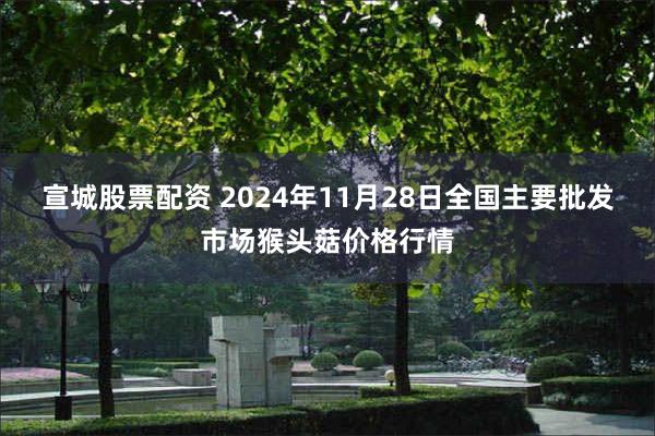 宣城股票配资 2024年11月28日全国主要批发市场猴头菇价格行情