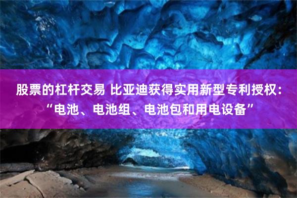 股票的杠杆交易 比亚迪获得实用新型专利授权：“电池、电池组、电池包和用电设备”