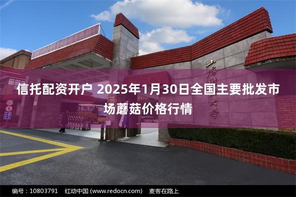 信托配资开户 2025年1月30日全国主要批发市场蘑菇价格行情