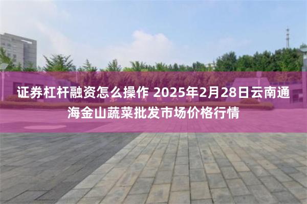 证券杠杆融资怎么操作 2025年2月28日云南通海金山蔬菜批发市场价格行情